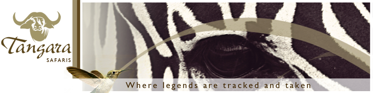Tangara Safaris Zebra Eye Header